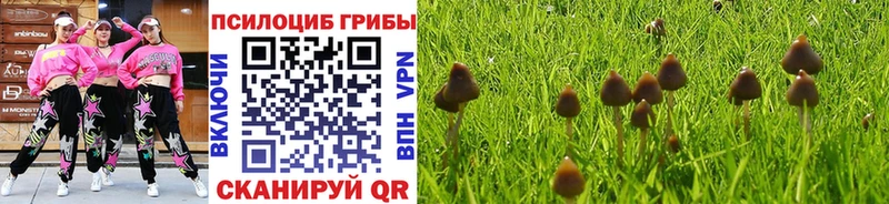 Псилоцибиновые грибы Magic Shrooms KRAKEN ссылки Тырныауз